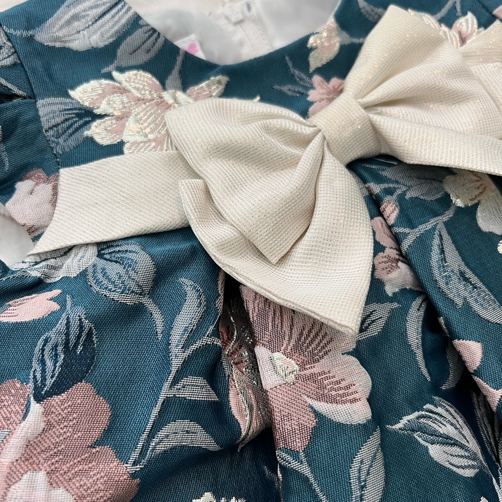 Baby Dress sz 12M - Picture 2 of 4